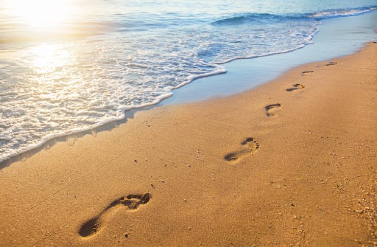 Footprints In The Winter Sand Ocean City AA   Footprints 768x503 